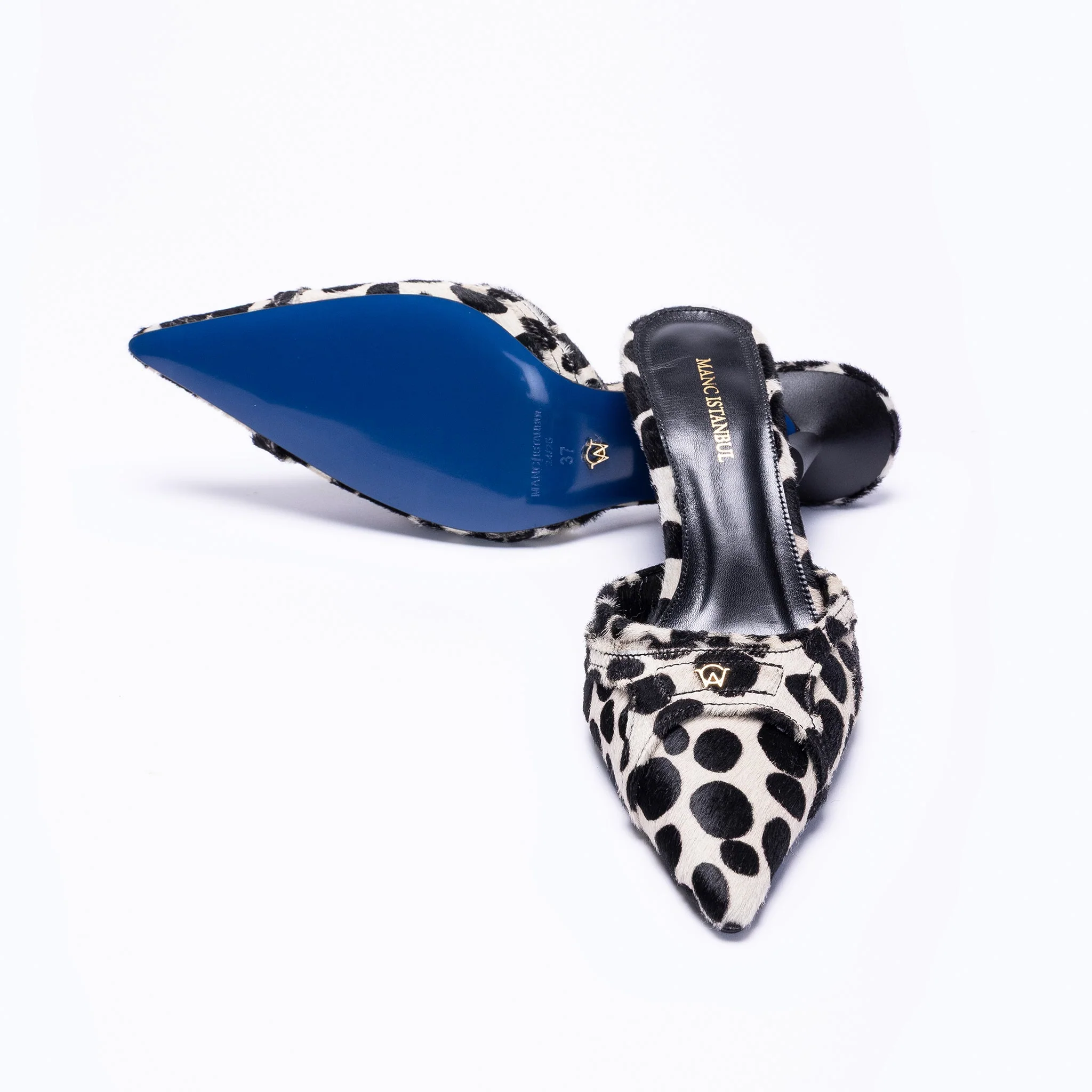 LILITH KITTEN - DALMATIAN - Image 5